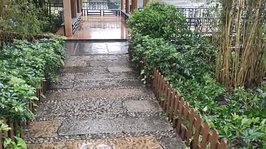 竹林拍摄实拍雨天凉亭视频的预览图